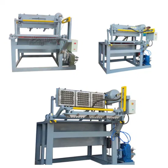 Waste Paper Pulp Molding Machine Egg Tray Machine with Factory Price