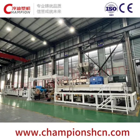 PET PLA Extruder Machinery for Thermoforming Printing Seeding Tray Packaging Cups Furniture Medical Shield