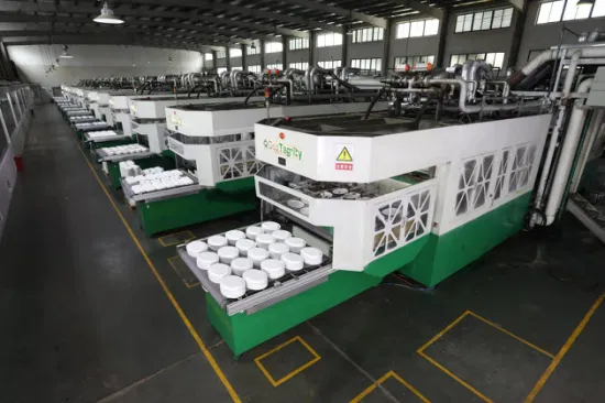 Biodegradable Sugarcane Bagasse Paper Tableware Pulp Molding Machine Fully Automatic Production Line