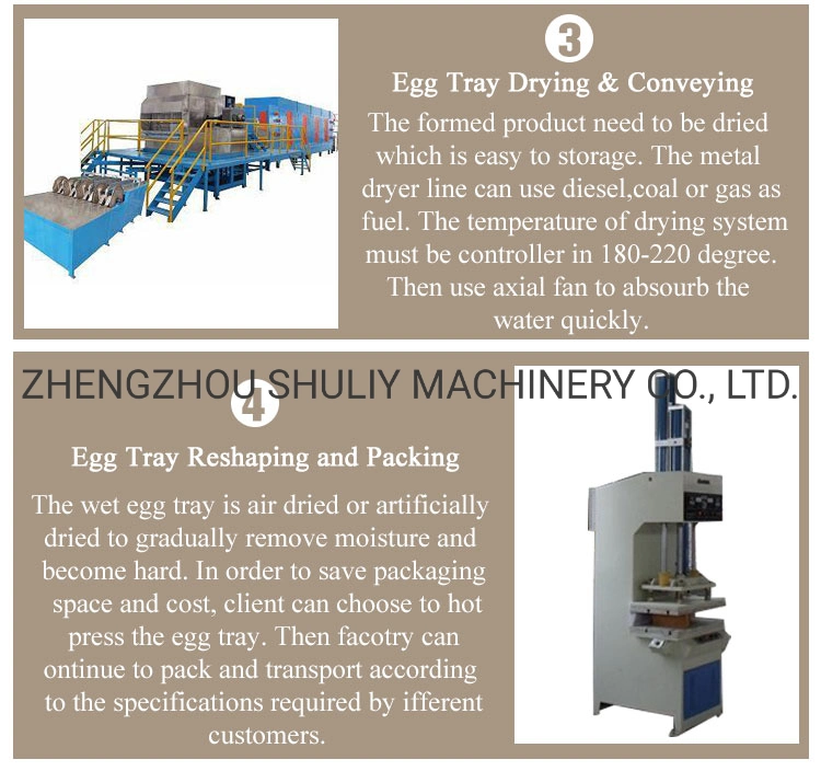 Automatic Small Pulp Mold Carton Paper Egg Tray Making Machine